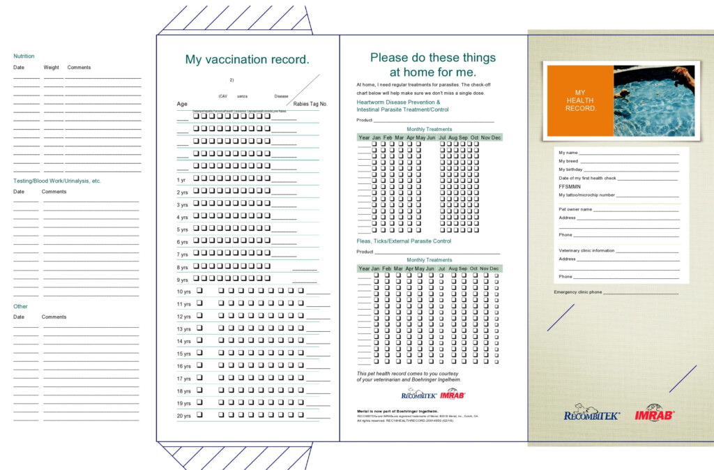 40 Printable Dog Puppy Vaccination Records TemplateArchive - Free Printable Pet Vaccination Record