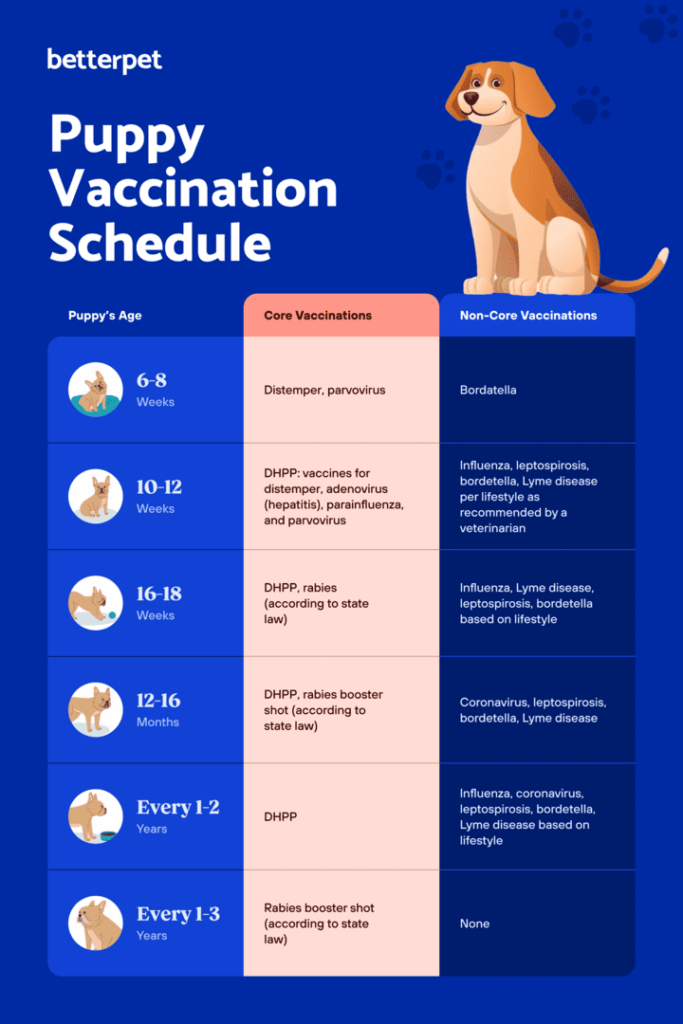 A Puppy Vaccine Schedule What Does My Puppy Need  - Printable Puppy Vaccine Schedule