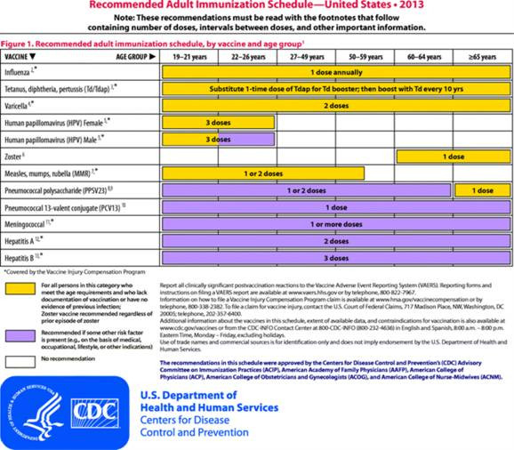 Adult Immunization Schedule Updated As Vaccination Rates Lag Harvard  - Printable Vaccine Schedule