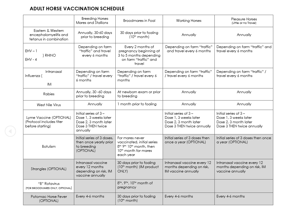 Adult Vaccinations Old Waterloo Equine Clinic - Printable Horse Vaccine Schedule