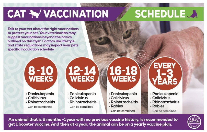 Bantu Lindungi Kesihatan Haiwan Kesayangan Anda Dan Dapatkan Nasihat  - Free Printable Owner Given Canine Vaccination