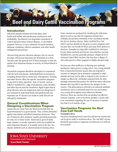 Beef And Dairy Cattle Vaccination Programs - Printable Cattle Vaccination Chart