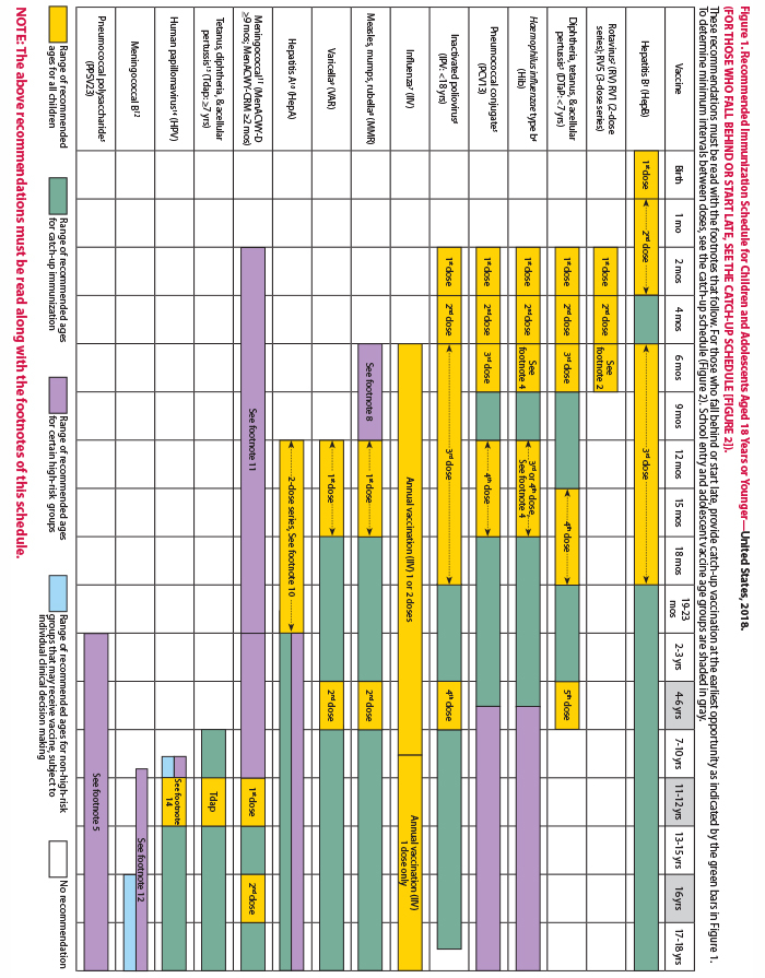 Childhood Immunization Catch Up Schedule Ages 4 Months To 18 Years - Vaccine Schedule Printable Cdc