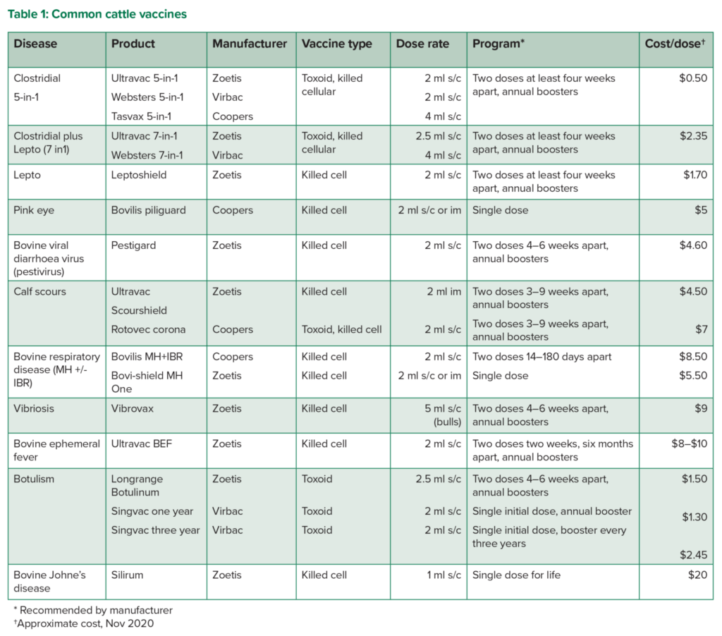 Common Beef Cattle Vaccines The Toolbox MLA ELearning - Printable Cattle Vaccination Chart