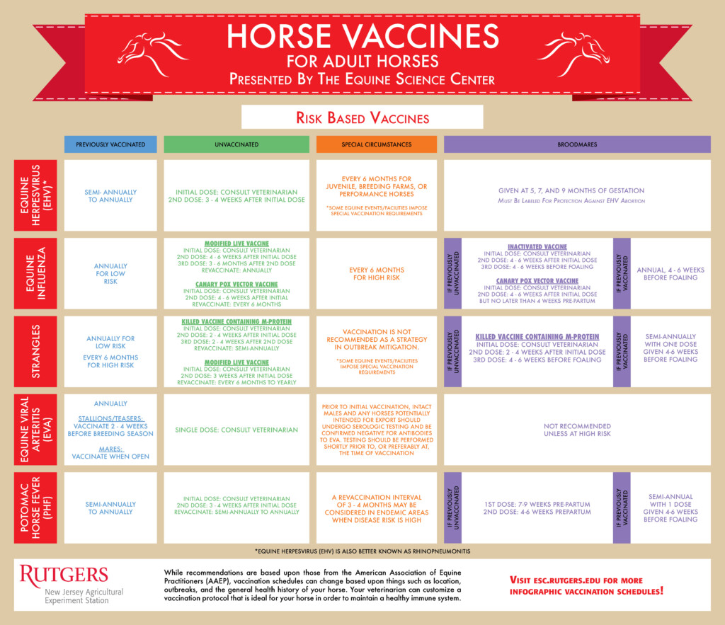 Does Your Horse Have A Fever Equine Science Center - Printable Horse Vaccine Schedule