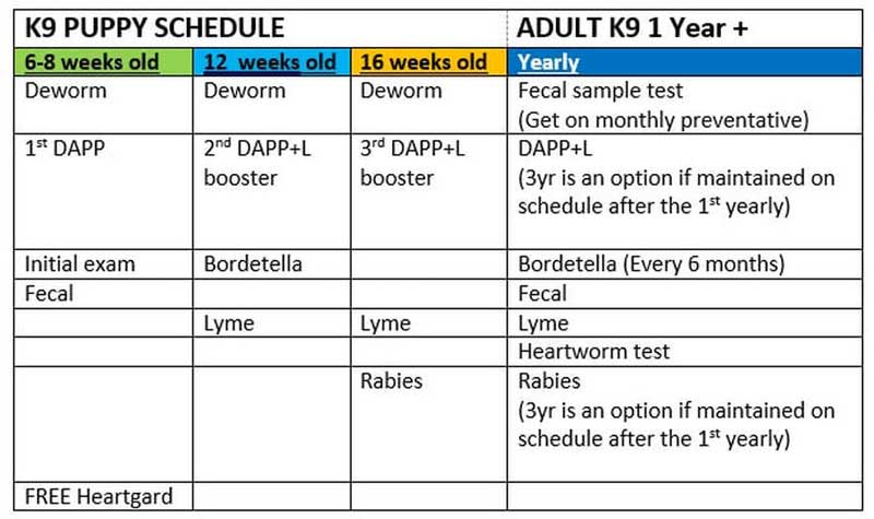 Dog Cat Vaccine Schedules - Printable Vaccine Schedule For Dogs