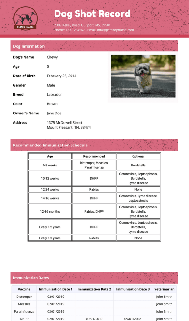 Dog Shot Record Template PDF Templates Jotform - Free Printable Pet Vaccination Record Pdf