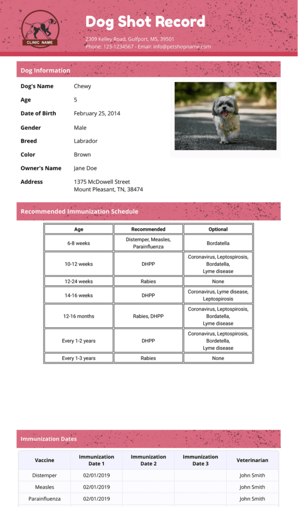 Dog Shot Record Template PDF Templates Jotform - Downloadable Printable Dog Vaccination Record