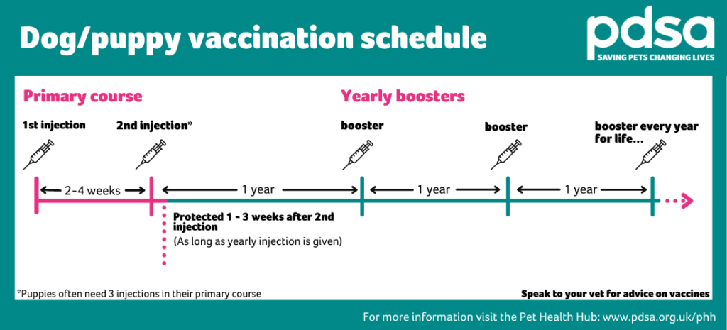 Dog Vaccines PDSA - Dog Vaccines Record Printable Image