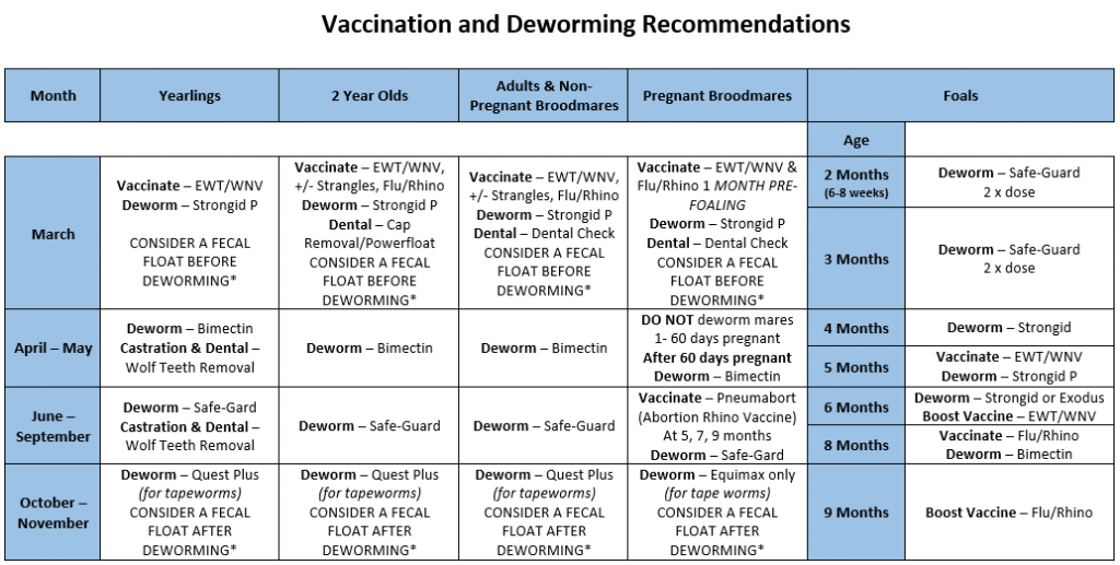 Equine Vaccination Schedule - Printable Horse Vaccine Schedule