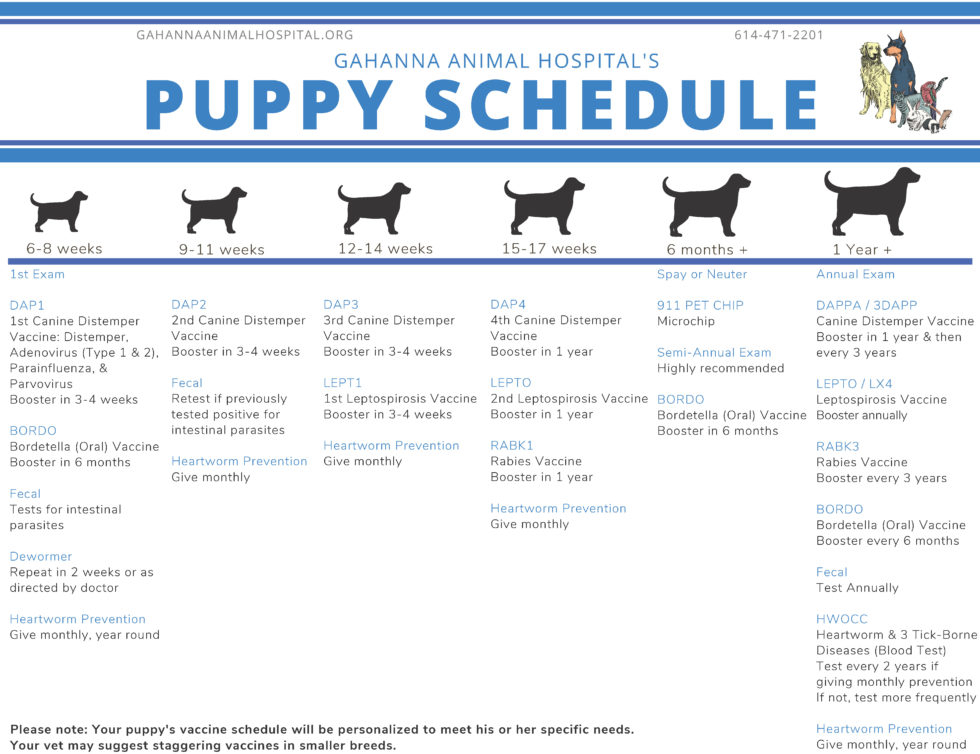 Free Printable Dog Vaccination Chart - Printable Dog Vaccination Chart