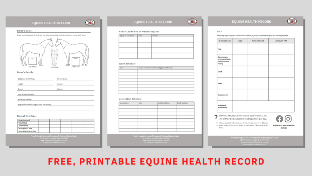 FREE PRINTABLE EQUINE HEALTH RECORD Thompson And Redwood - Printable Horse Vaccination Record