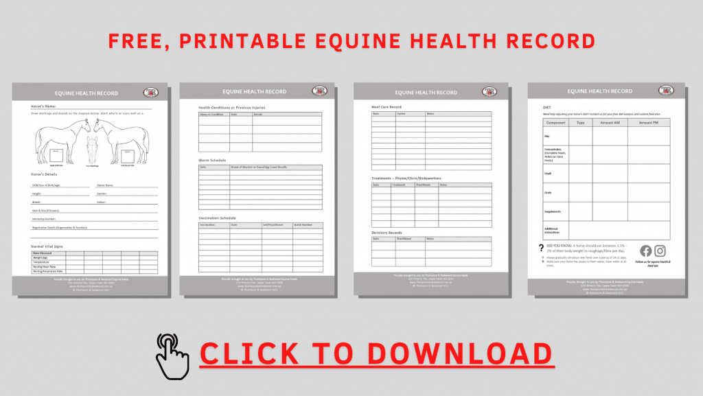 FREE PRINTABLE EQUINE HEALTH RECORD Thompson And Redwood - Equine Vaccination Record Printable