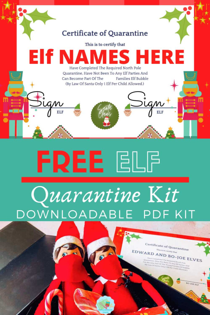 Invitations Announcements Paper Elf Vaccination Card Editable Elf  - Printable Elf On The Shelf Vaccine Card