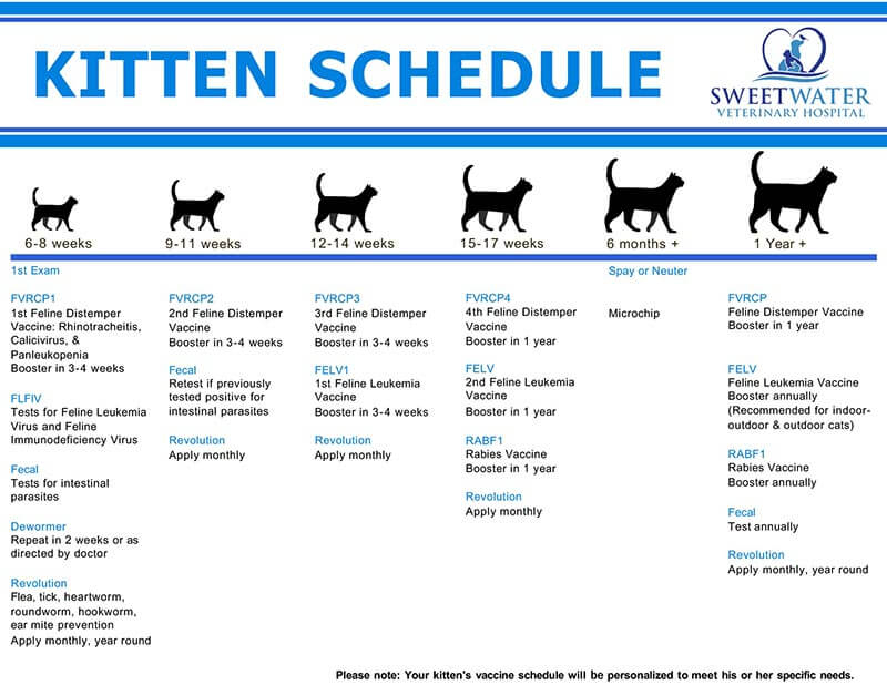 Kitten Vaccinations - Printable Cat Vaccinations