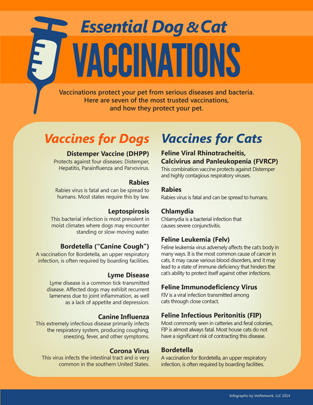 Pet Care Infographics Camelot Court Animal Clinic - Free Printable Owner Given Canine Vaccination