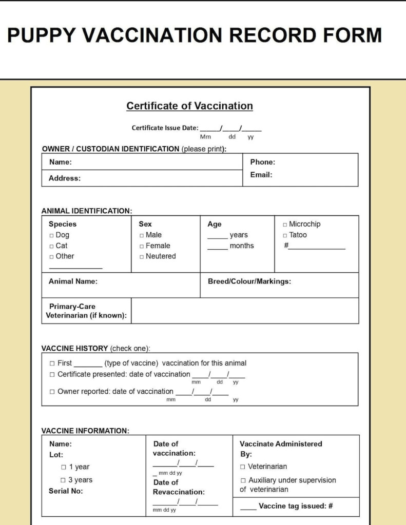 Pet Vaccination Record Template Puppy Vaccination Record Form Dog  - Printable Dog Vaccine Record