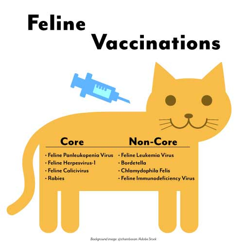 Pet Vaccinations In Memphis MI Greenwood Veterinary Associates - Printable Cat Vaccinations