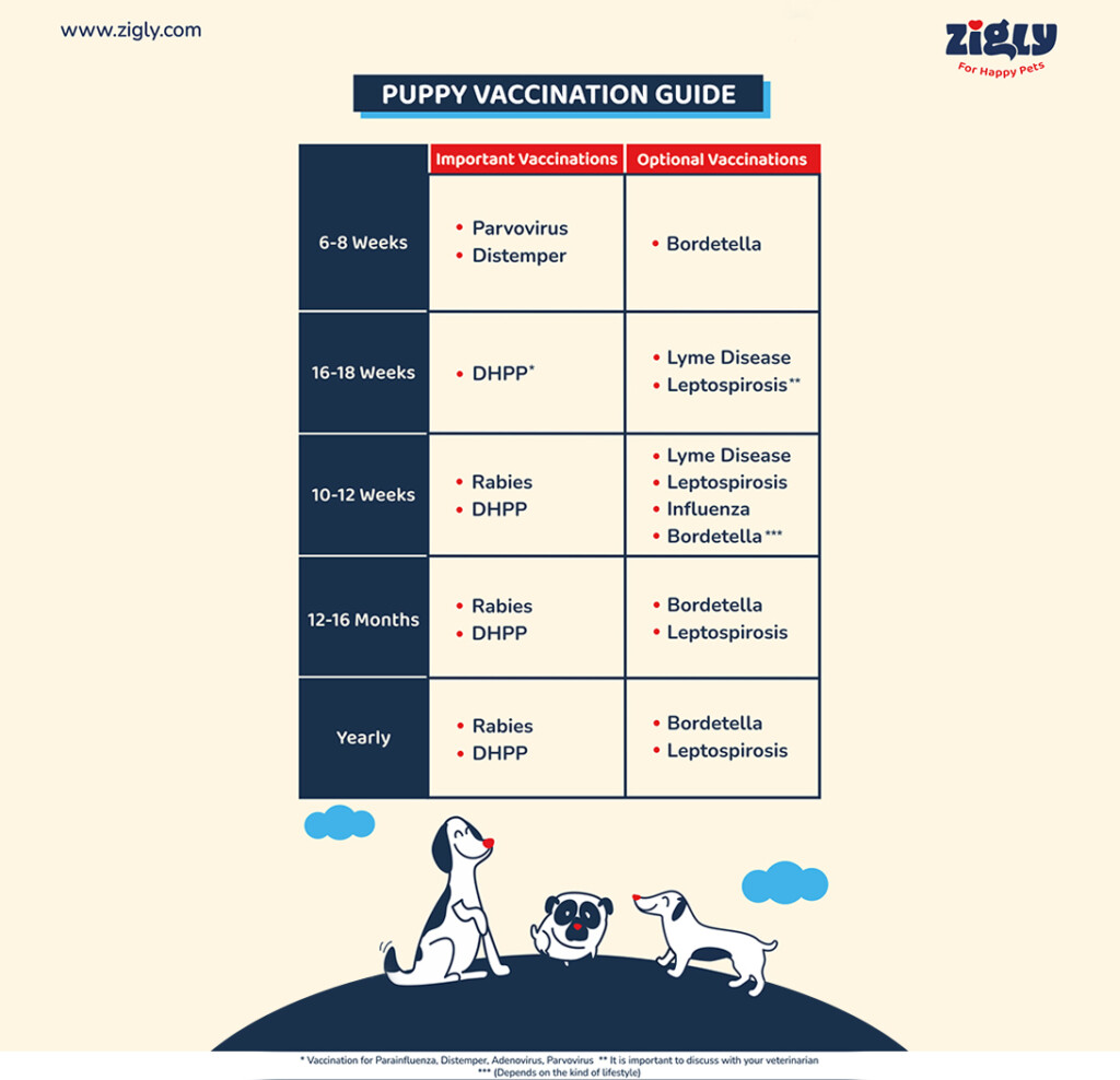 Puppy Vaccination Guide Injections Shots Cost Zigly Blog - Printable Vaccination Chart For Dogs