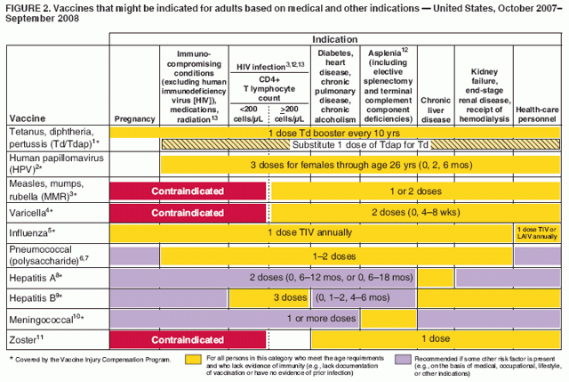 Recommended Adult Immunization Schedule United States October 2007  - Printable Cdc Vaccine Schedule