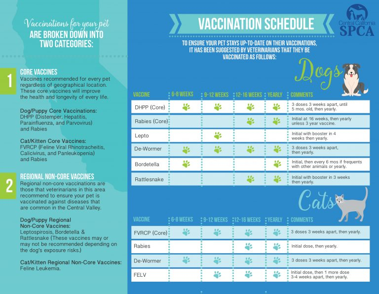 Vaccination Schedule For Dogs And Cats Central California SPCA  - Printable Vaccination Schedule For Dogs