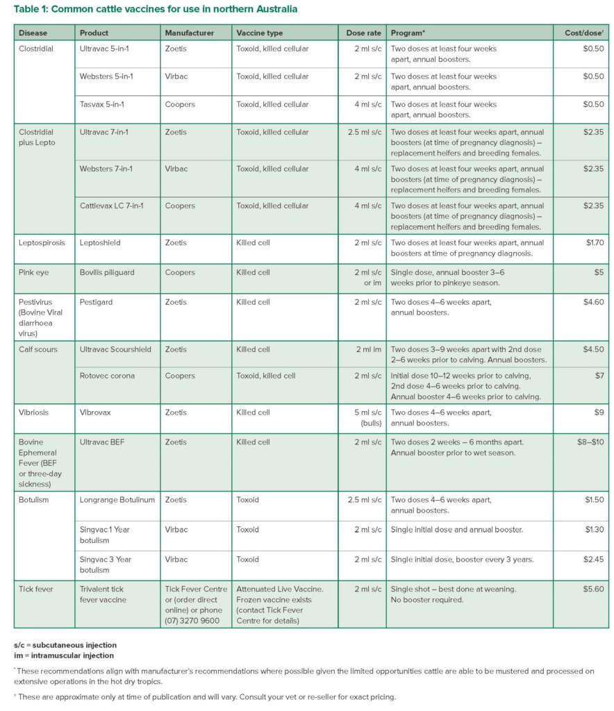 Vaccines Available For Northern Cattle The Toolbox MLA ELearning - Printable Mecidal And Vaccine Record For Beef Cattle