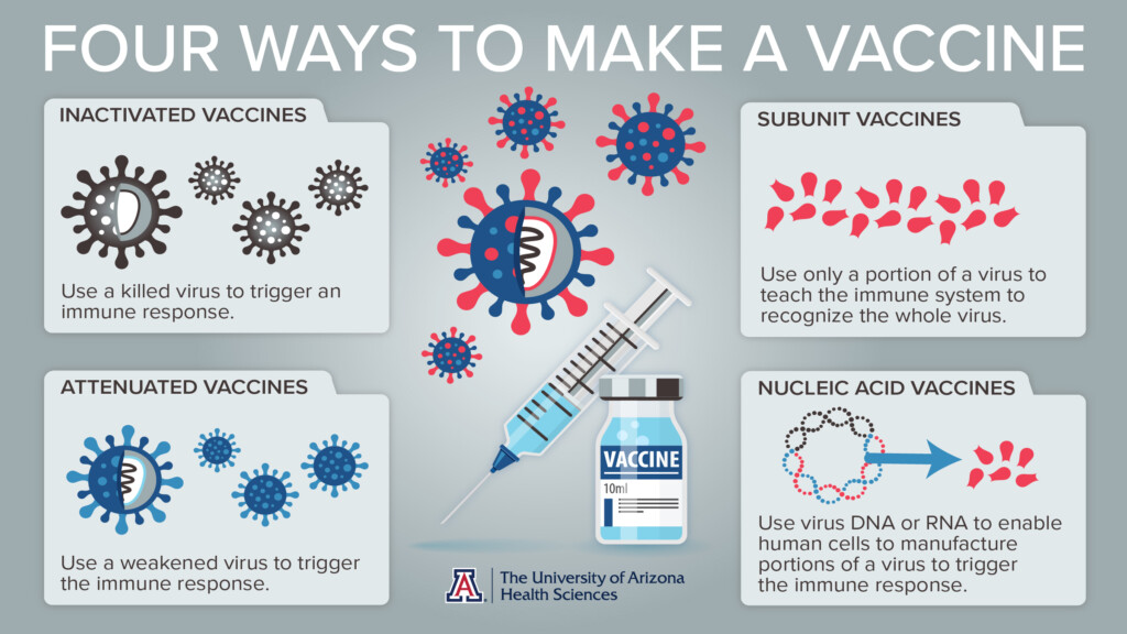 What It Takes To Create A Vaccine The University Of Arizona Health  - Pet Vaccinations Organizer Printables